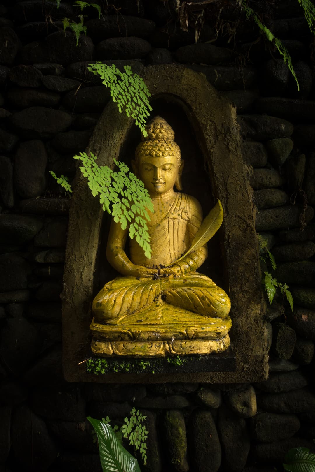 Buddha